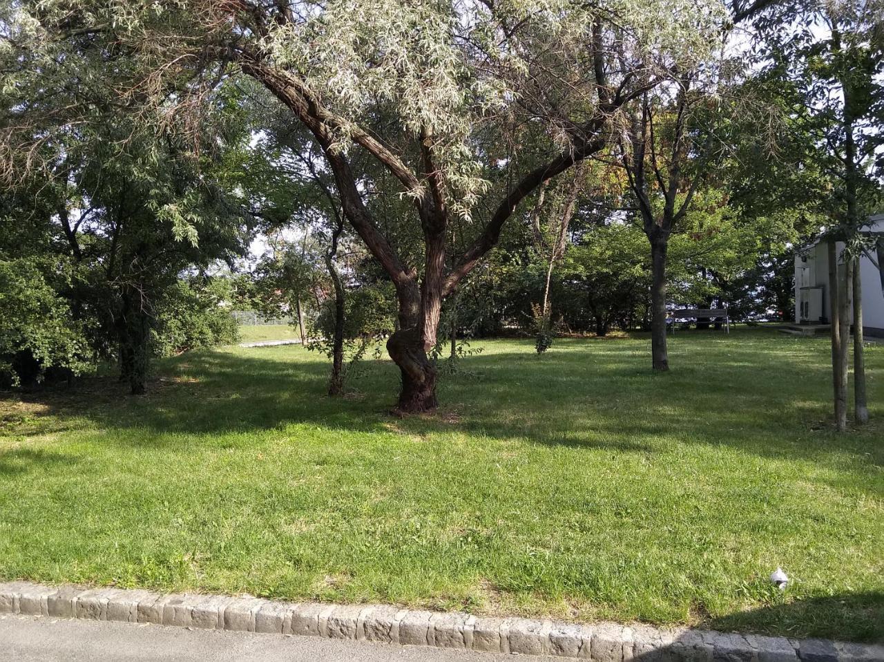 Apartment Paradies - U1 Station Altes Landgut Wiedeń Zewnętrze zdjęcie